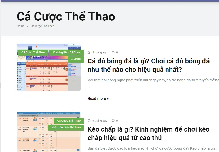 10-nha-cai-uy-tin-net-chia-se-nhieu-meo-ca-cuoc